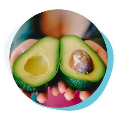 Avocado Powder