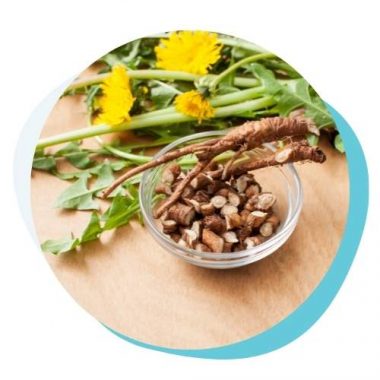 Dandelion Root