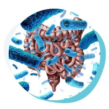 Probiotics