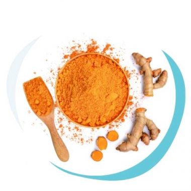 Turmeric Curcuma Longa